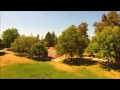 Aerial Imaging - Neighborhood Park