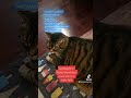 Oscar the Cat Loves                           Pls Subscribe & Like