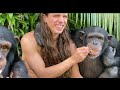 Chimpanzee Exotic Fruit Mukbang