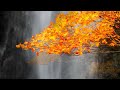 4K Top 60 Best View of Autumn Leaves of Waterfalls in Japan (Part 1)