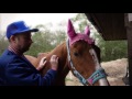 WONK UNIT - HORSES (OFFICIAL VIDEO)