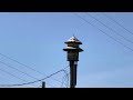 Federal Signal Model 5T Siren Test - Swartz Creek, MI