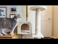 How to: Re-wrap cat tree poles using only staple and sisal ropes.