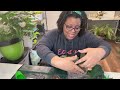 Repot & Chat | Three Times When Having Houseplants Grounded Me & Helped Rebuild My Confidence