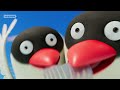 Baby Seal and Gray Seal #031#003 | SEALy Family! | SEALOOK Compilation