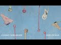 Cosmo Sheldrake - Old Ocean