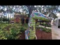 Sawgrass Mills Alligator Statues