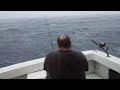 Fishing in the rain