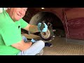 Rear brake pads replaced 2016 Honda Odyssey