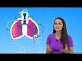 Lung Sounds Made Easy Nursing | Rhonchi, Stridor, Wheeze, Crackles, Pleural Friction Rub NGN NCLEX