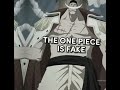 THE ONE PIECE IS FAKE.....