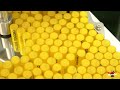 Process of making Lip Balms and Lipsticks. The Largest Cosmetic Factory in Korea