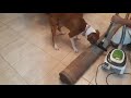 Boxer Dog Charlie attacks the vacuum!
