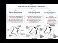 Blood Supply and Nerve Supply of the Heart - Dr. Ahmed Farid