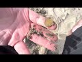 I Took a Metal Detecting Road-Trip and Found GOLD!!