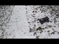 HPI Firestorm in the snow