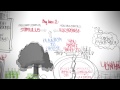 MAN'S SEARCH FOR MEANING BY VIKTOR FRANKL - MY FAVORITE IDEAS ANIMATED