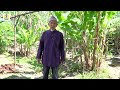 Ayam Penyet ala Indonesia | Rumah Kebajikan Warga Emas & OKU