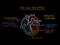 Ventricular septal defect | Circulatory System and Disease | NCLEX-RN | Khan Academy