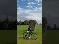 stirling university grounds  with wallace monument