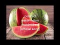 colored watermelon msnimtired (official song)