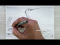 How to Draw a Birds Scenery with Pencil, Easy Pencil Drawing for Beginners