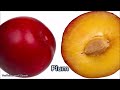 Fruit - List of Fruits - Name of Fruits - 300 Fruits Name in English from A to Z