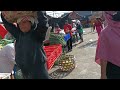 Logistik Melimpah Berbelanja Pasar Badung Denpasar Bali
