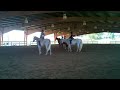 Fourth Horse Show - Walk Trot under 13