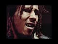 Bob Marley & The Wailers - Lively Up Yourself (Official Video)