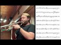 Can You Feel the Love Tonight | Trumpet