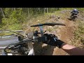 2024 PNWMA Cat Scratch Hare Scramble