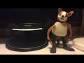 Red Panda Stop Motion Animation