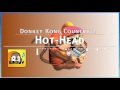 Donkey Kong Country 2 - Hot Head Bop [Cover]