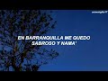 Joe Arroyo - En Barranquilla Me Quedo (Letra)