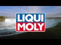 LIQUI MOLY Injection Cleaner (#1803)