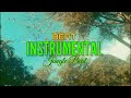 Instrumental_Jungle Beat_[EvilFyahMusic]