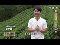 【蘇澳】父中風.兄弟返家搶救老製麵廠 有機茶.愛玉入麵翻轉傳產∣一步一腳印【回家的幸福兄弟手捲麵】20240825