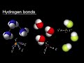 Hydrogen bonding | Intermolecular forces and properties | AP Chemistry | Khan Academy