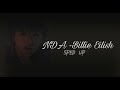 NDA - Billie Eilish but it's only the best part and sped up (3min)