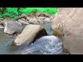 Soothing River Sound Flow  Natures Calm for Focus and Study