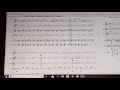 New Super Mario Bros Wii Medley l Brass & Percussion Cover