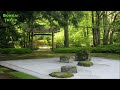 Beautiful Japanese Music | Koto Music & Shakuhachi Music