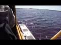 Landing PJ3 Piper Cub Float Plane At Jack Brown's Seaplane Base