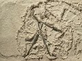 Sand Dancer Animation