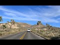 Joshua Tree National Park 4K Scenic Drive | California Drive Through