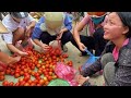 Simple life - great love - Harvesting a season of red tomatoes