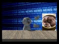 Baboon News