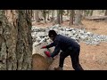 I built a stone and wood survival bushcraft shelter in the forest