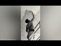 40 Minutes Of Satisfying Workers Doing Their Job Perfectly